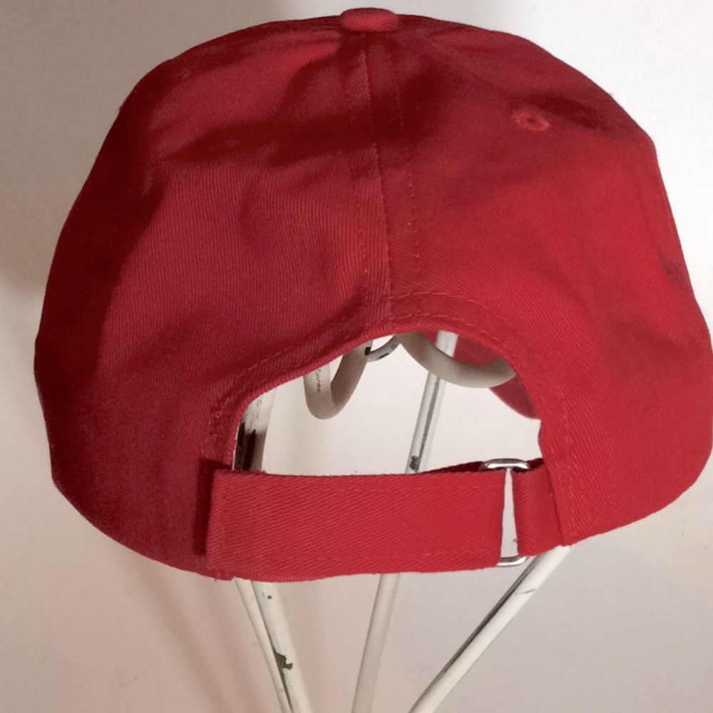 Four Cap Bundle - image 3